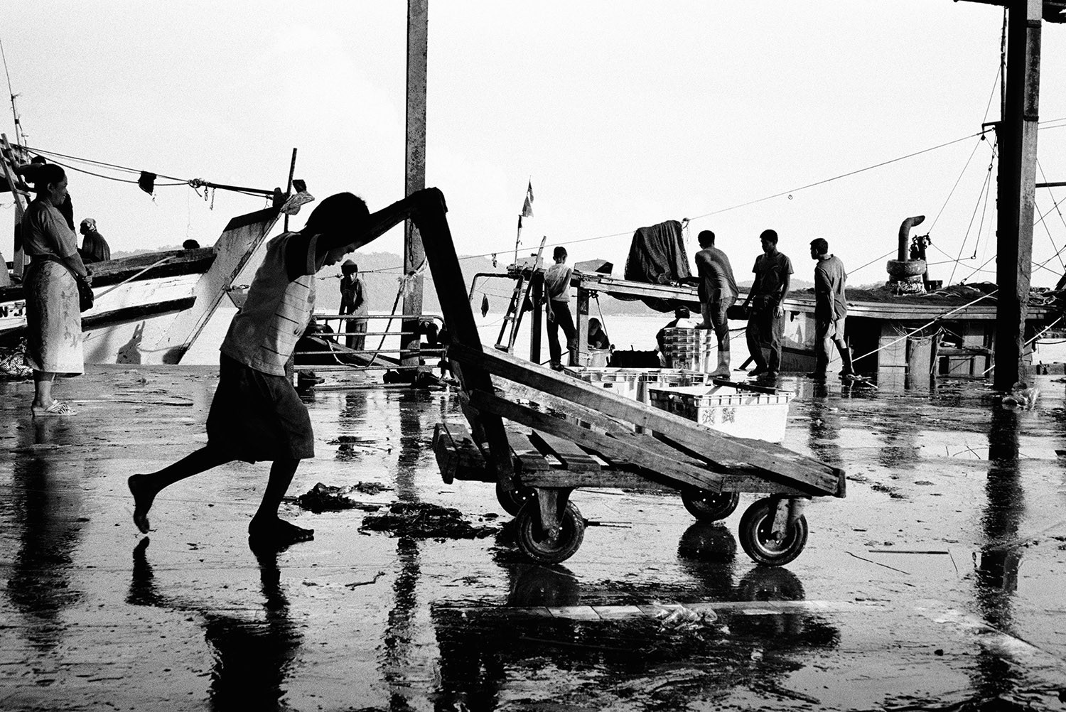 Boy pushing cart